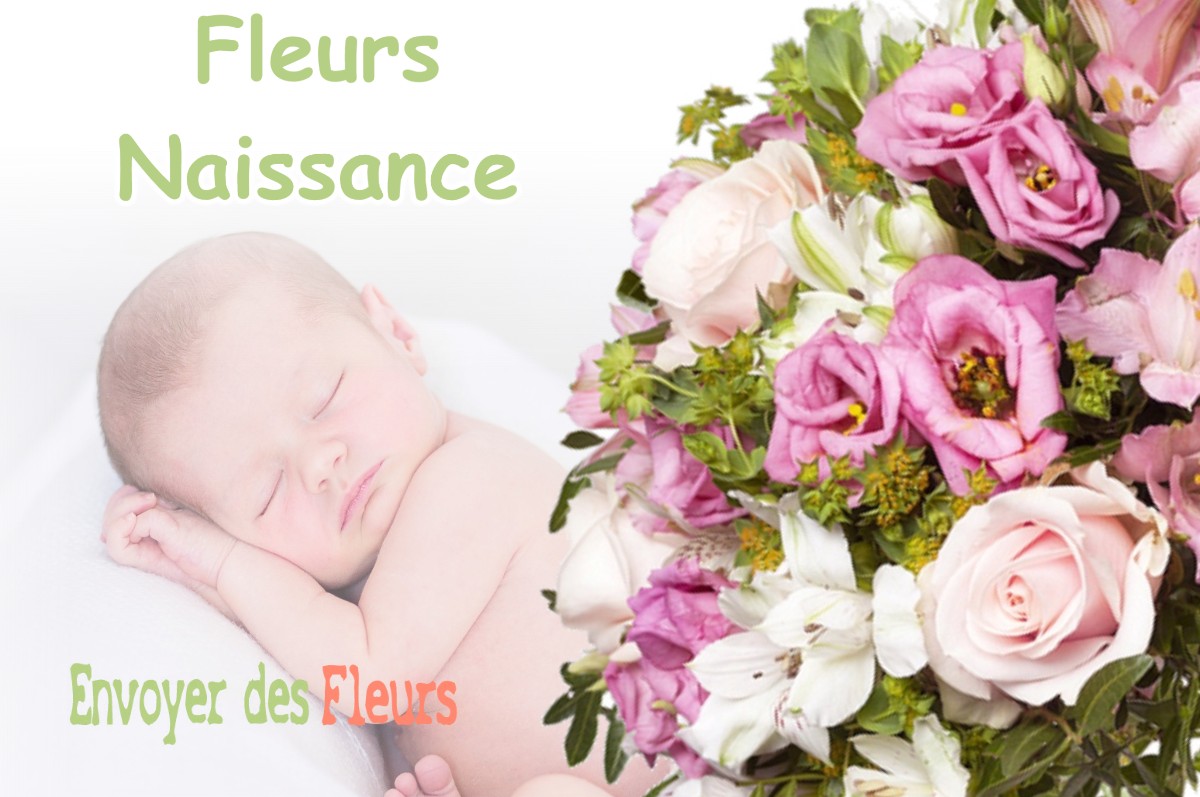 lIVRAISON FLEURS NAISSANCE à SAINT-ETIENNE-DE-SAINT-GEOIRS